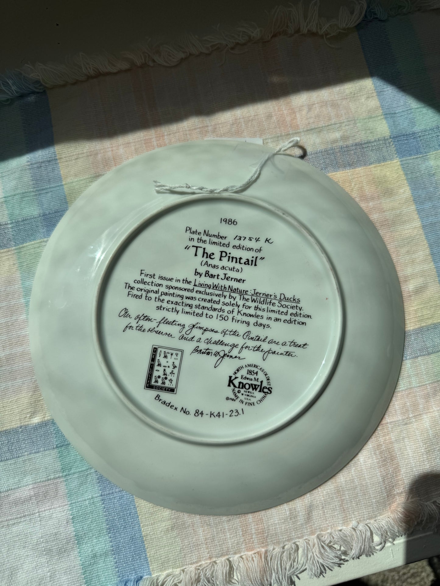 Decorative "Pintail" Duck Plate