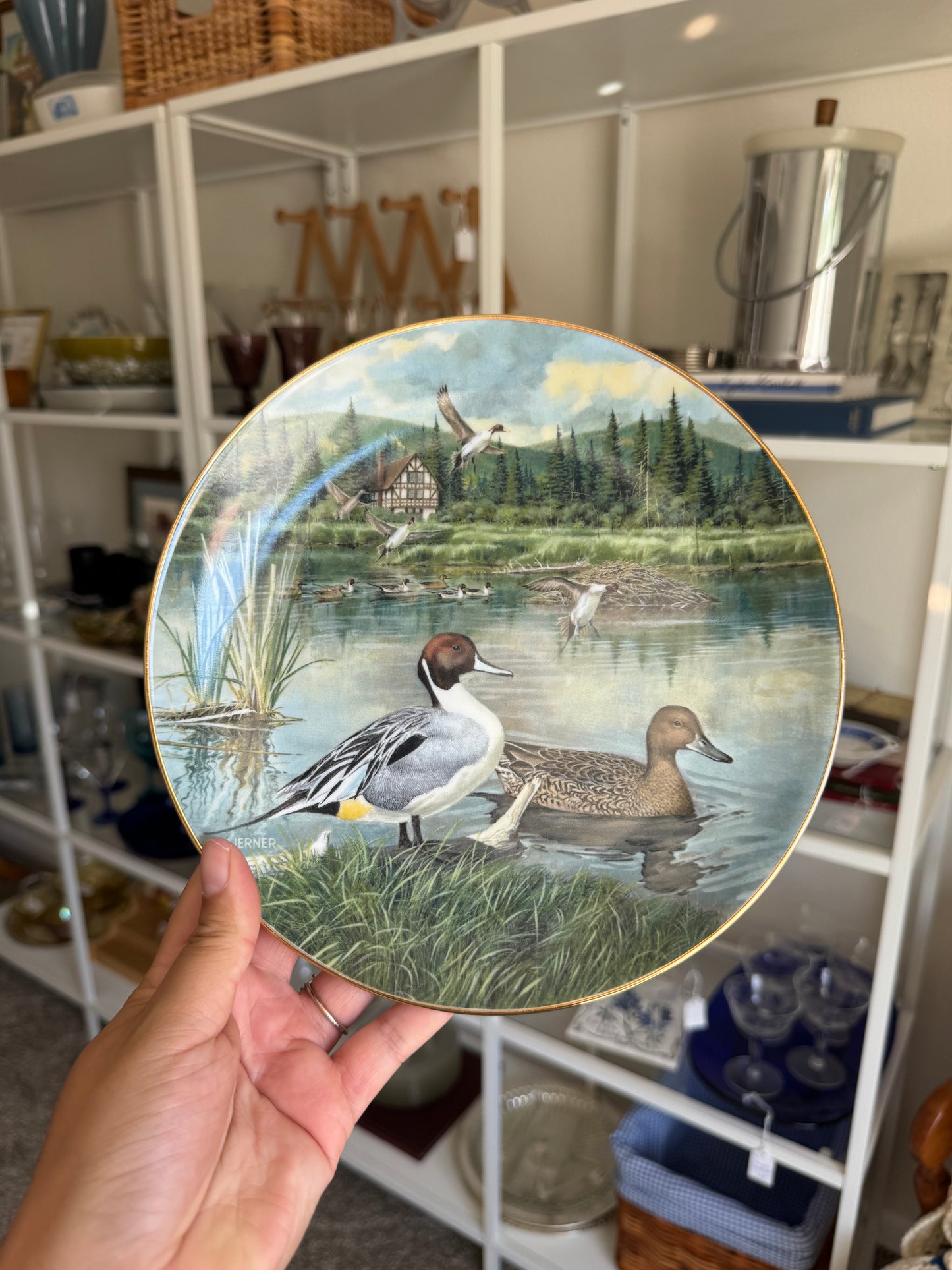 Decorative "Pintail" Duck Plate