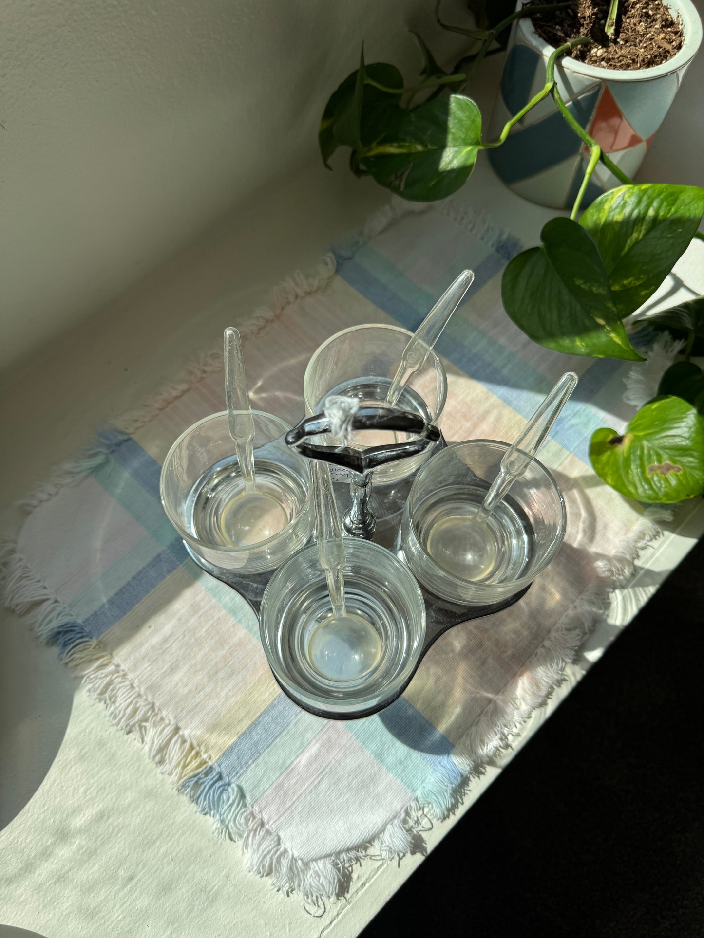 Spinning Chrome and Glass Condiment Serving Dish