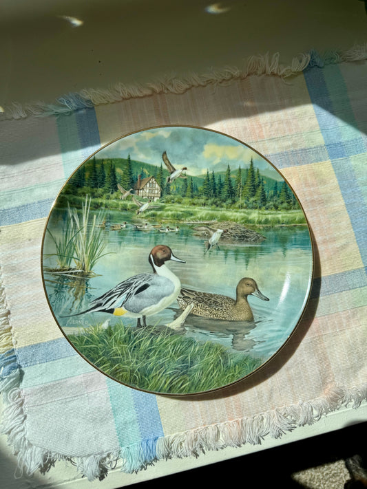 Decorative "Pintail" Duck Plate