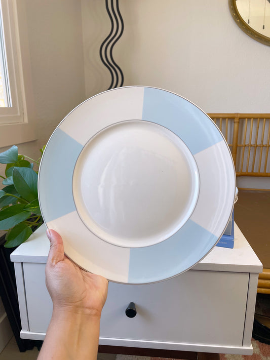 Blue & White Dinner Plates Set of 4